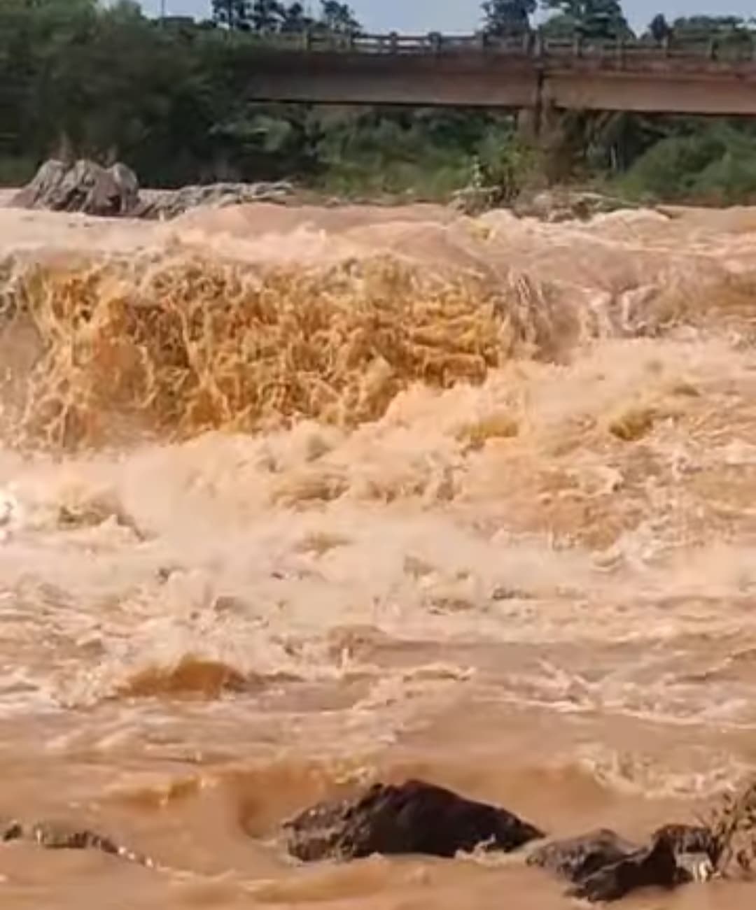 Chaibasa News : लगातार हो रही बारिश से जैंतगढ़ व आसपास का जनजीवन प्रभावित