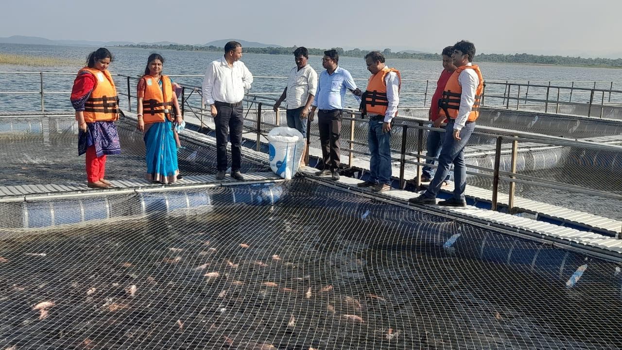 Seraikela Kharsawan News : मॉनसून की मेहरबानी से मछली का बंपर उत्पादन संभव, कोल्हान में 70,500 टन का लक्ष्य