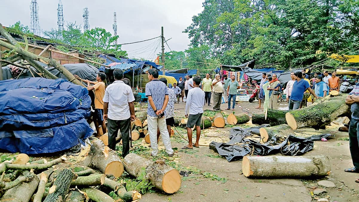 Rourkela News: झारखंड मार्केट में गिरा पेड़, तीन दुकानें क्षतिग्रस्त, बिजली के दो खंभे टूटे