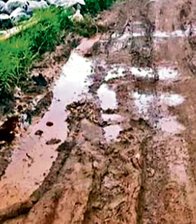 Jharsuguda News: बीजू एक्सप्रेस-वे को बेहरापाली गांव से जोड़ने वाली सड़क दलदल में तब्दील, आये दिन हो रहीं दुर्घटनाएं