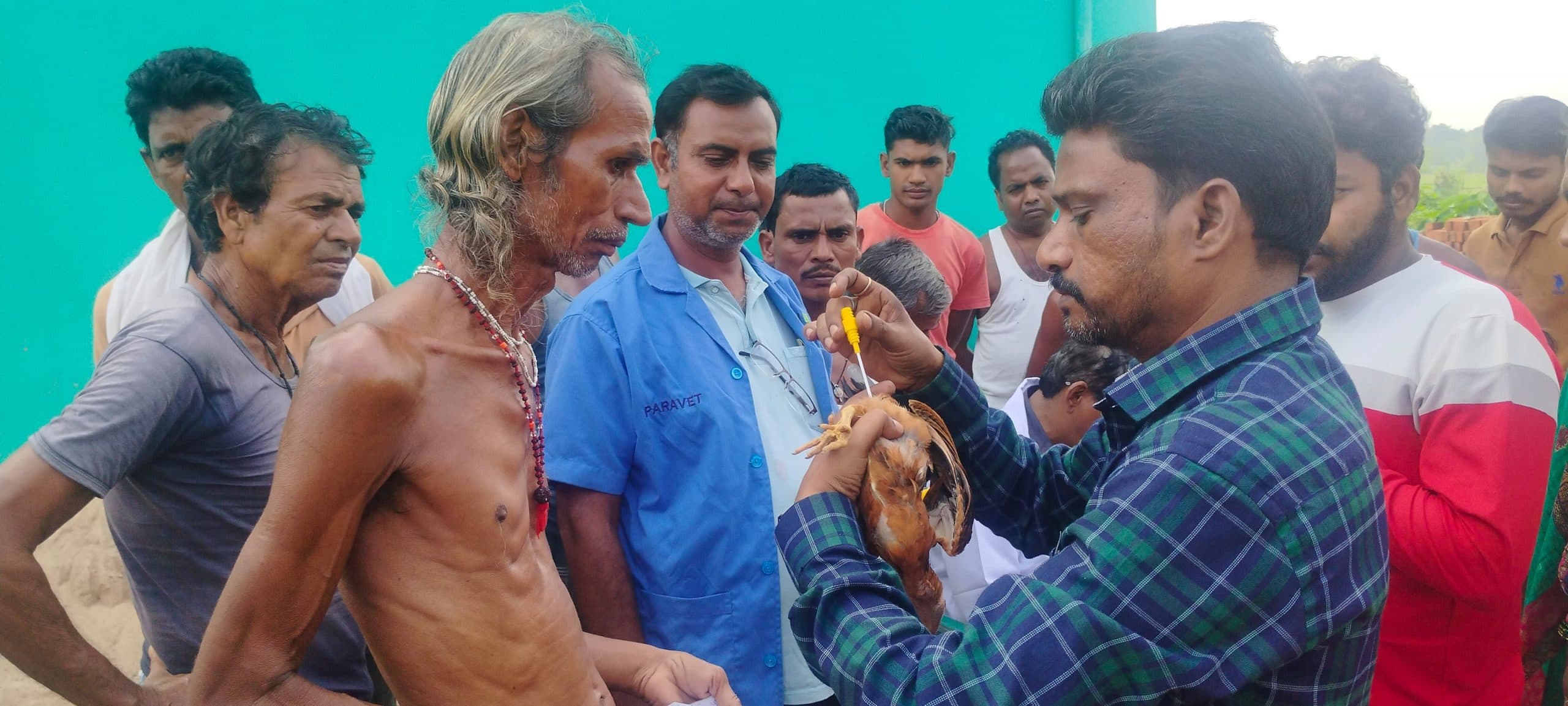 East Singhbhum News : चलंत पशु चिकित्सालय की टीम ने जोड़सा व खेड़ुआ गांव में जाकर पशु-पक्षियों का किया इलाज