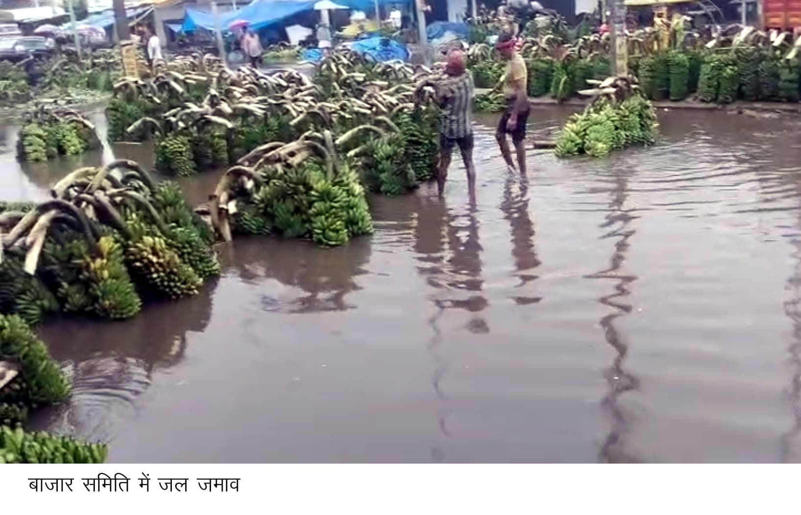 बाजार समिति में जमे बारिश के पानी में हो रहा कारोबार