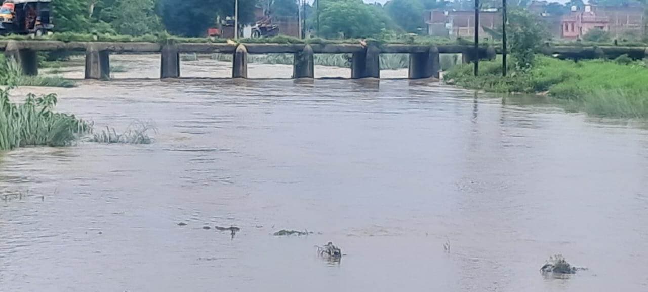 मौसम मेहरबान, धान रोपनी का कार्य जोरों पर