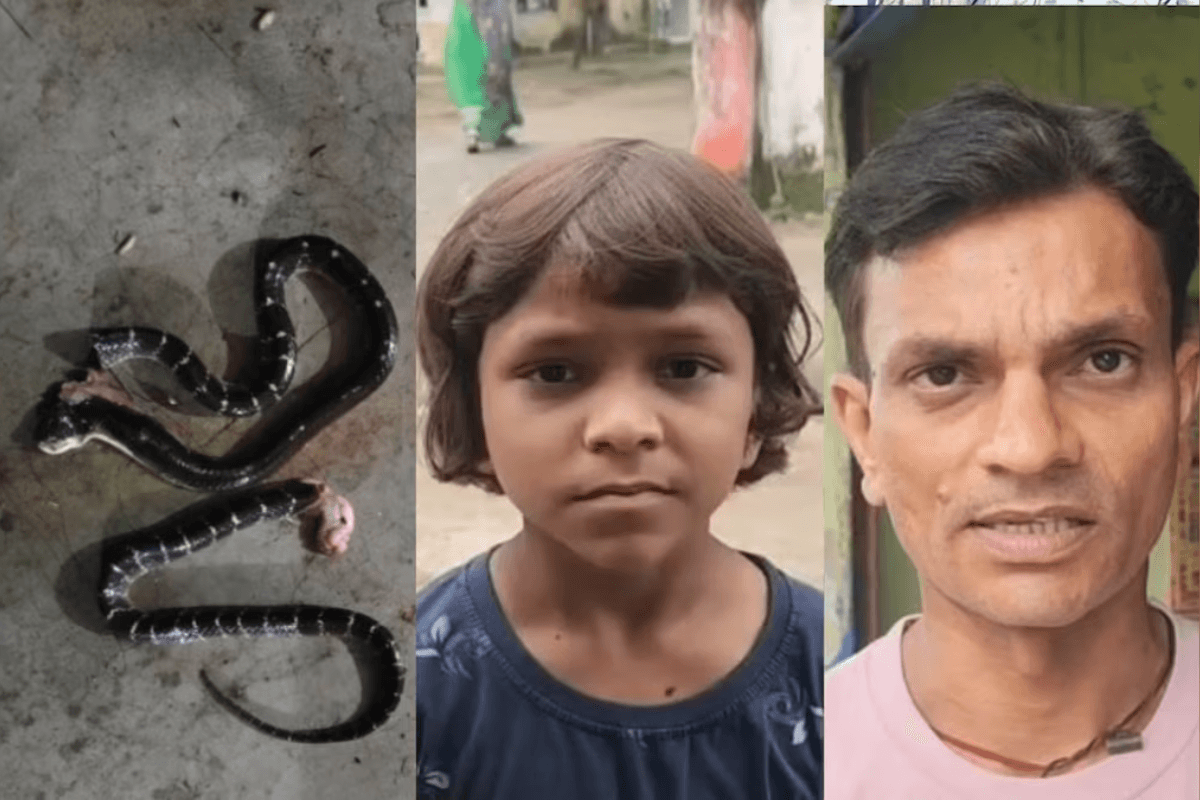 Bihar News: 10 साल की बच्ची के गले में लिपटा दो विषैला सांप, जान की बाजी लगा कर पिता ने बचाया