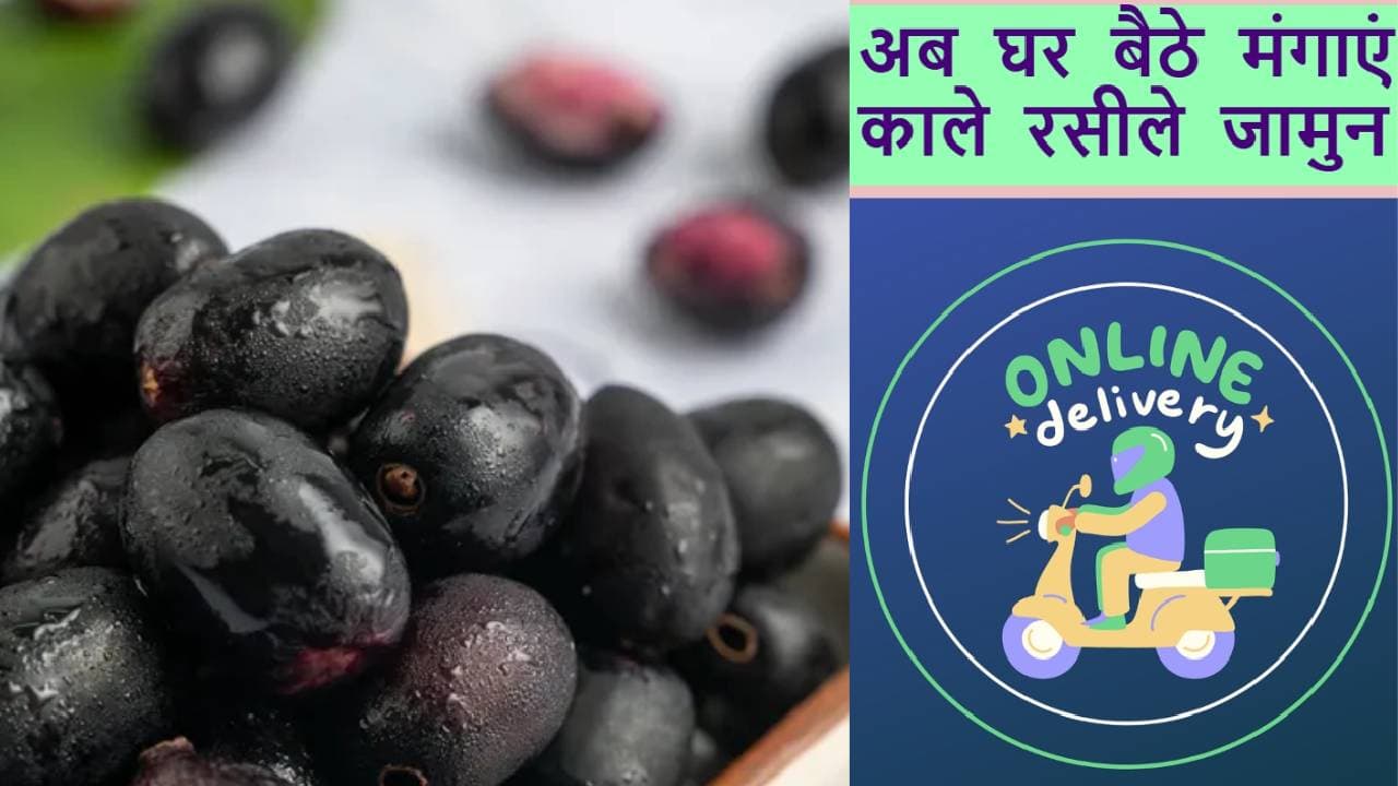 How to Order Jamun Online: बारिश की फुहार का मजा लें जामुन के साथ, बस एक क्लिक में होगी होम डिलीवरी