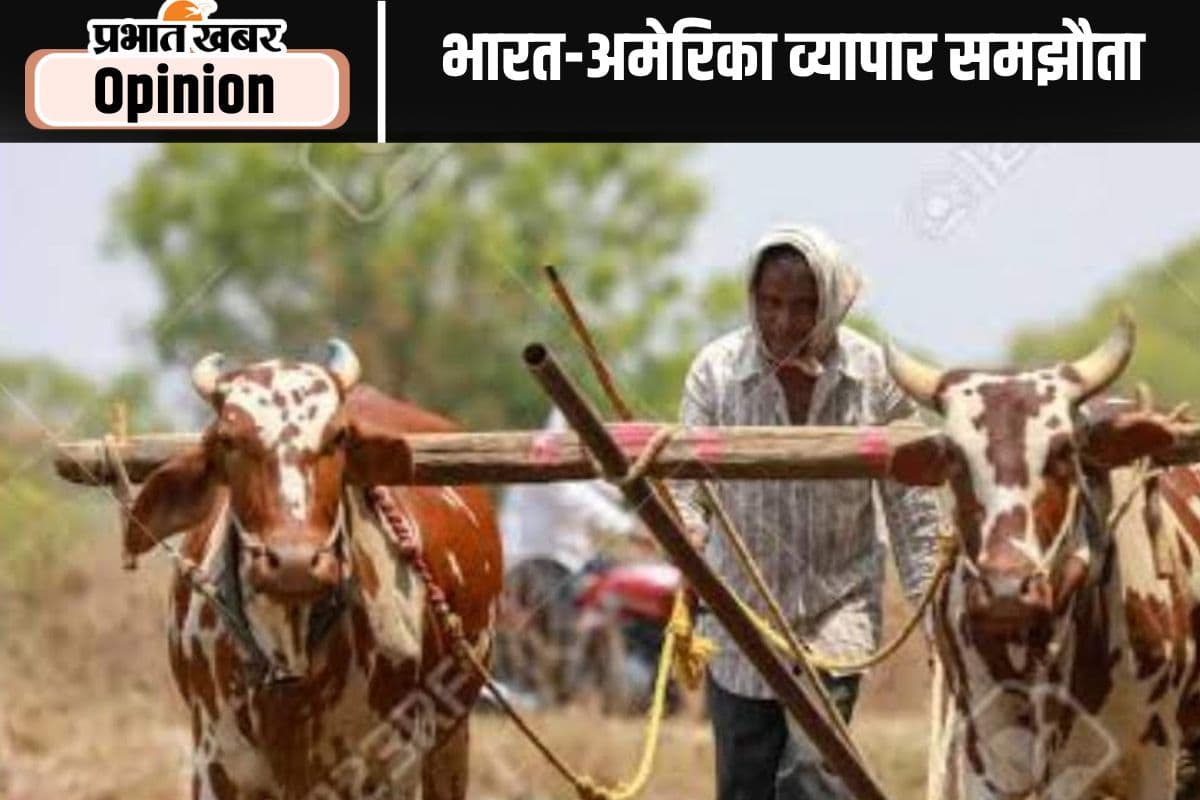 अमेरिका से समझौते में सुरक्षित रहें किसानों के हित, पढ़ें प्रो अश्विनी महाजन का खास लेख