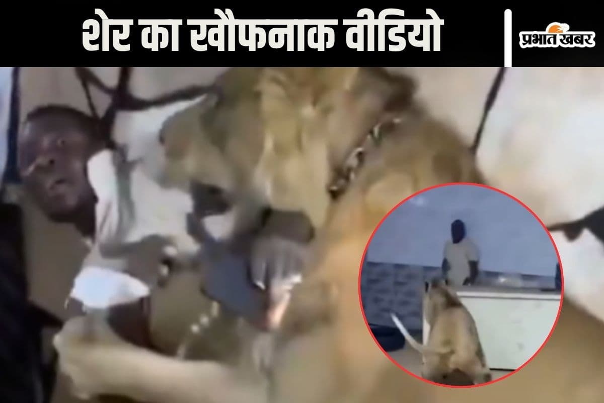 Viral Video : मालिक ने नौकर पर छोड़ दिया पालतू शेर, 20 सेकंड का वीडियो है बहुत ही खौफनाक