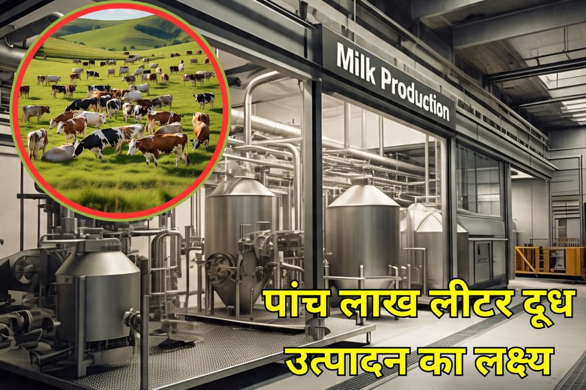 milk production in bihar