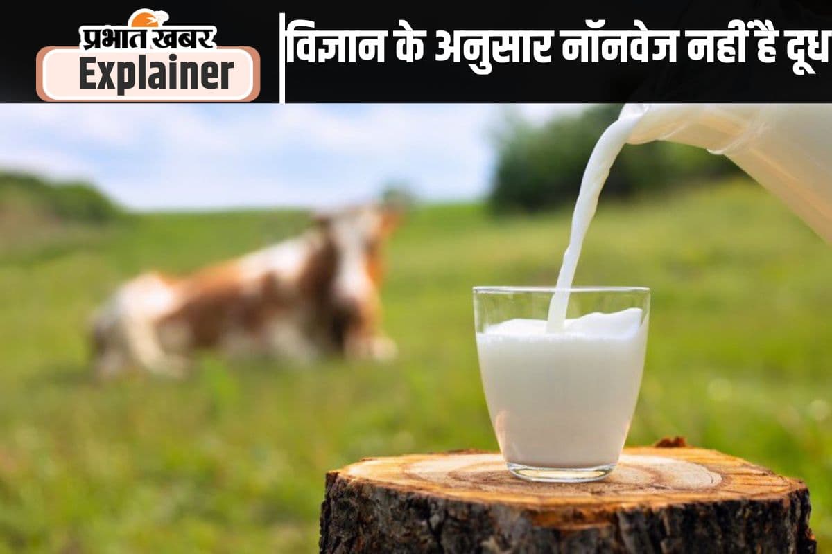 क्या होता है ‘नॉनवेज मिल्क’, क्या हमारे सात्विक दूध से हो सकता है इसका मुकाबला?