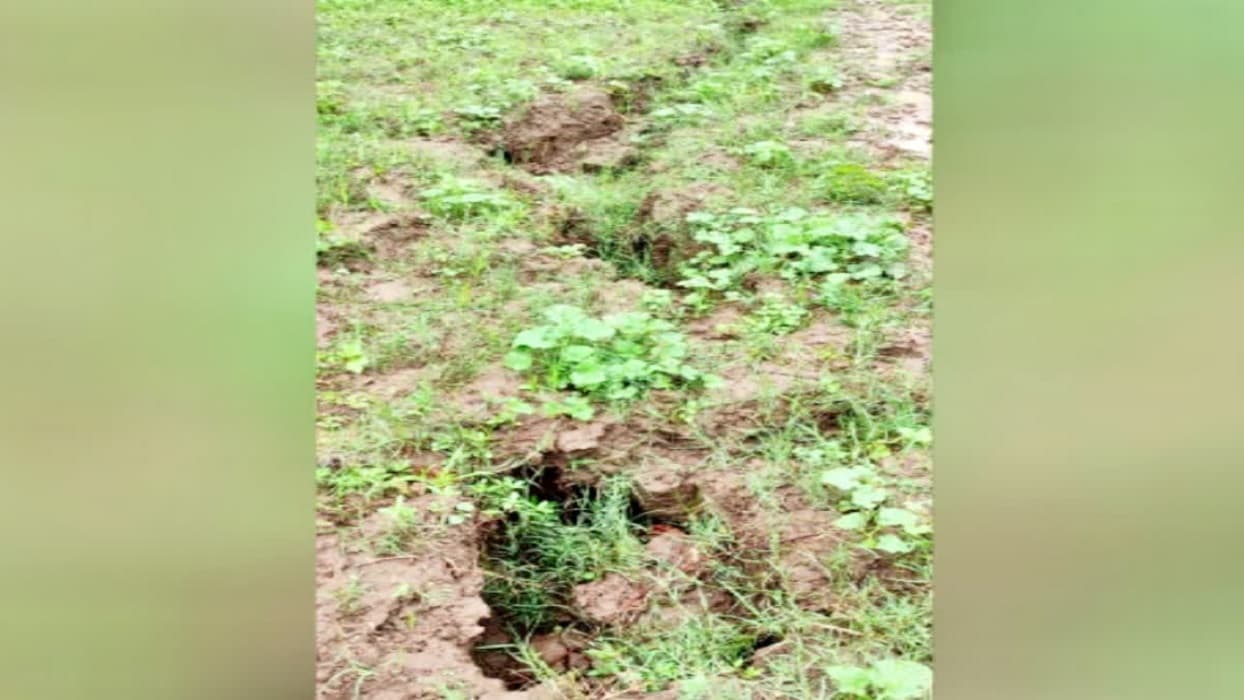 बारिश के बीच बिहार के इस शहर में फटी धरती! 150 फुट लंबी आयी दरार देख डरे लोग