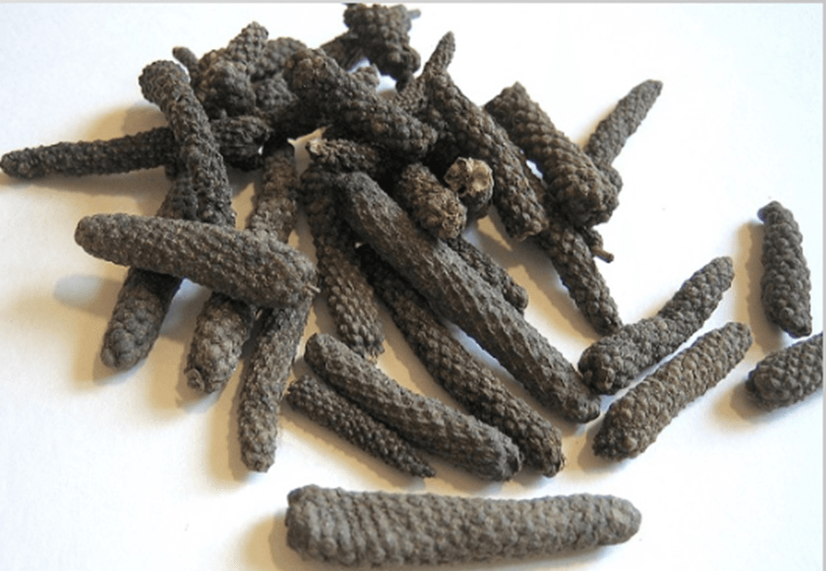 Health Benefits of Pippali: औषधीय गुणों से युक्त इस मसाले के सेवन से मिलते हैं कमाल के लाभ, जानिए कैसे किया जाता है इसका उपयोग