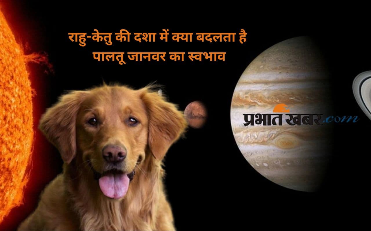Planetary Effects: क्या ग्रहों की चाल के साथ बदलता है पालतू जानवर का स्वभाव, जानें इसके पीछे का सच