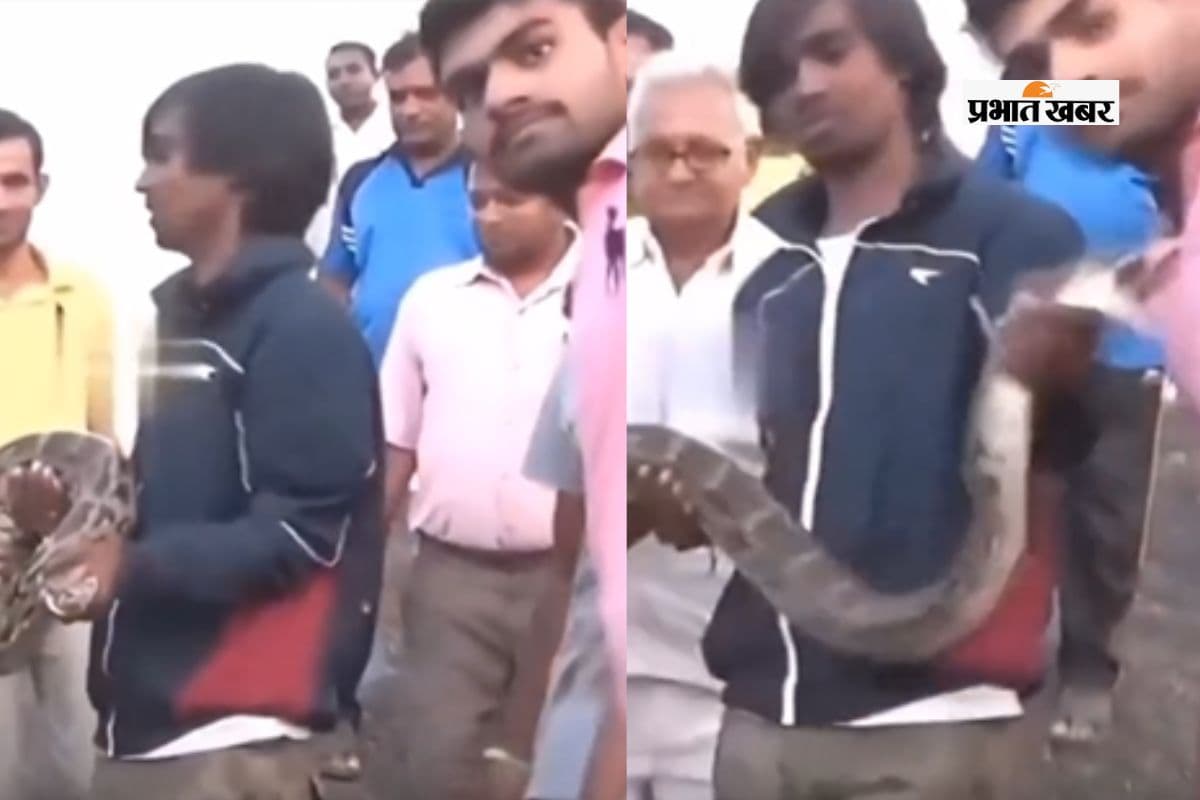 Viral Video: अजगर के साथ ले रहा था सेल्फी, दे दिया Love बाइट, दिल दहला देने वाला वीडियो वायरल