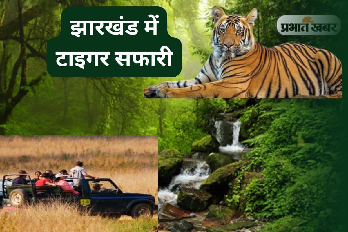 tiger safari in palamu jharkhand