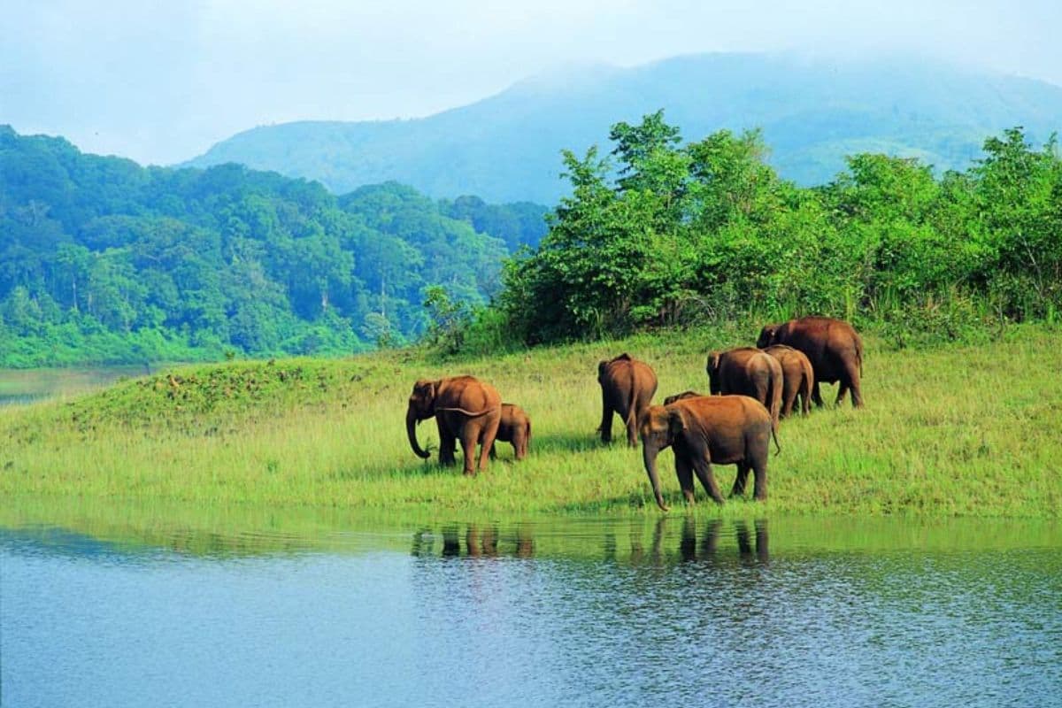 valmiki nagar| CM Nitish likes the beautiful place of Bihar, Valmiki Nagar