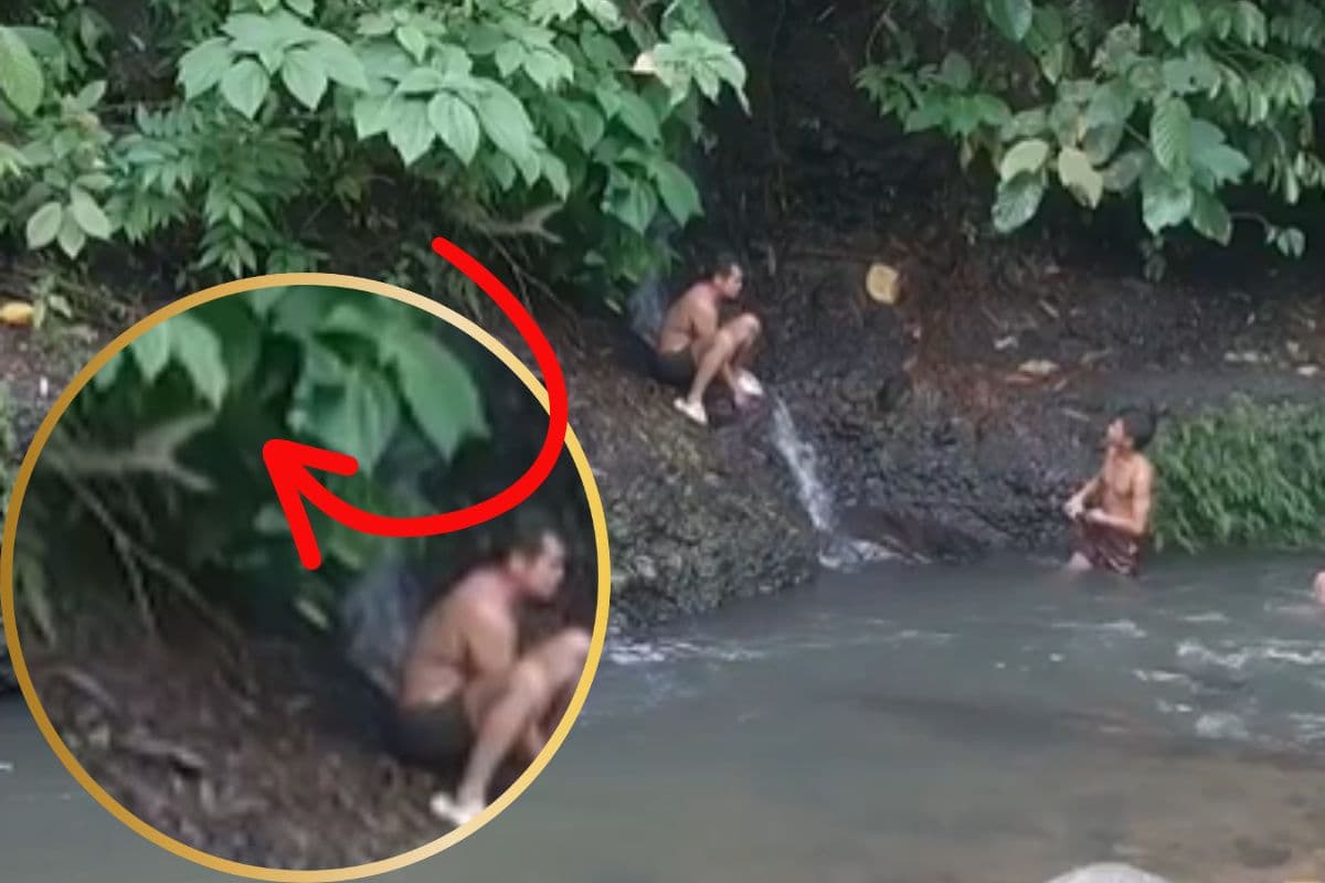 Viral Video: पिकनिक की मस्ती बन गई चीख-पुकार, जंगल में लड़कों पर विशाल अजगर ने किया हमला, दिल दहला देगा वीडियो