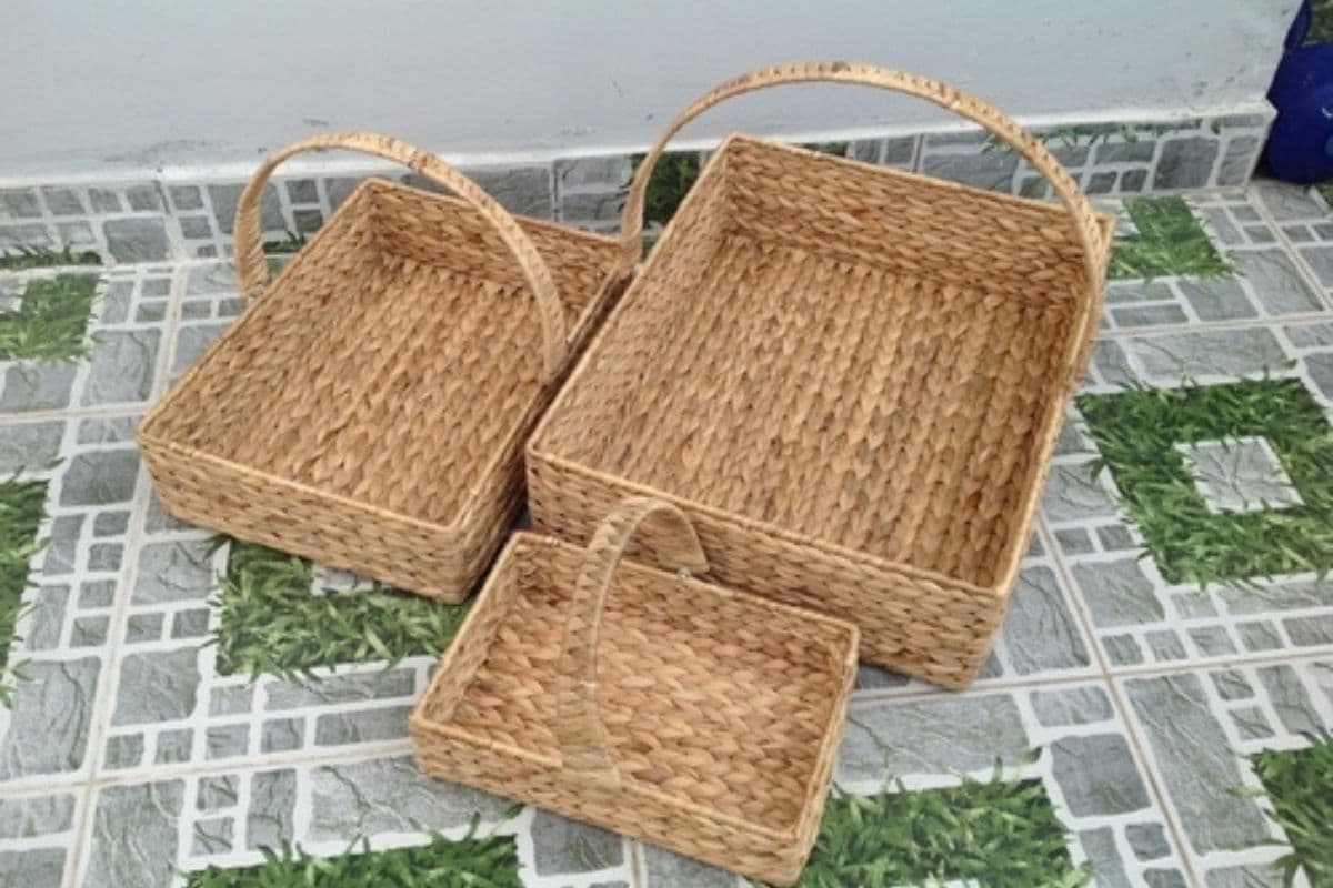 बिहार में अब बेकार जलकुंभी भी देगा महिलाओं को रोजगार, तैयार होंगी फैशनेबल चीजें