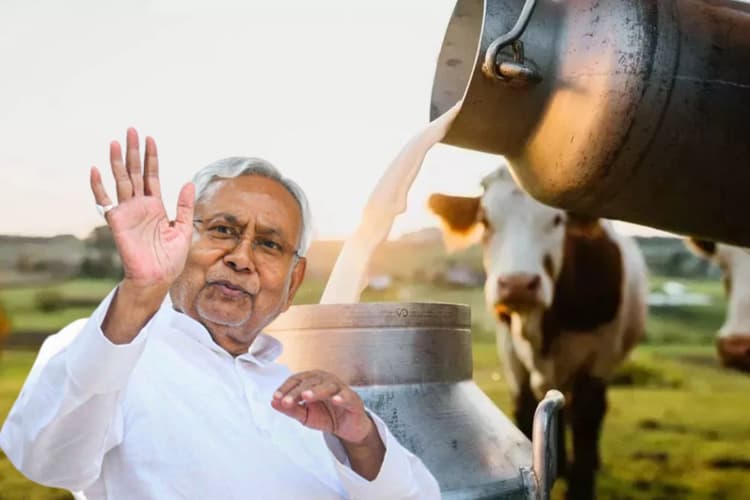 Bihar News: बिहार को डेयरी हब बनाने की तैयारी, गोपालगंज, वजीरगंज और दरभंगा में लगेंगे बड़े डेयरी प्लांट, सीतामढ़ी व रोहतास में पाउडर संयंत्र