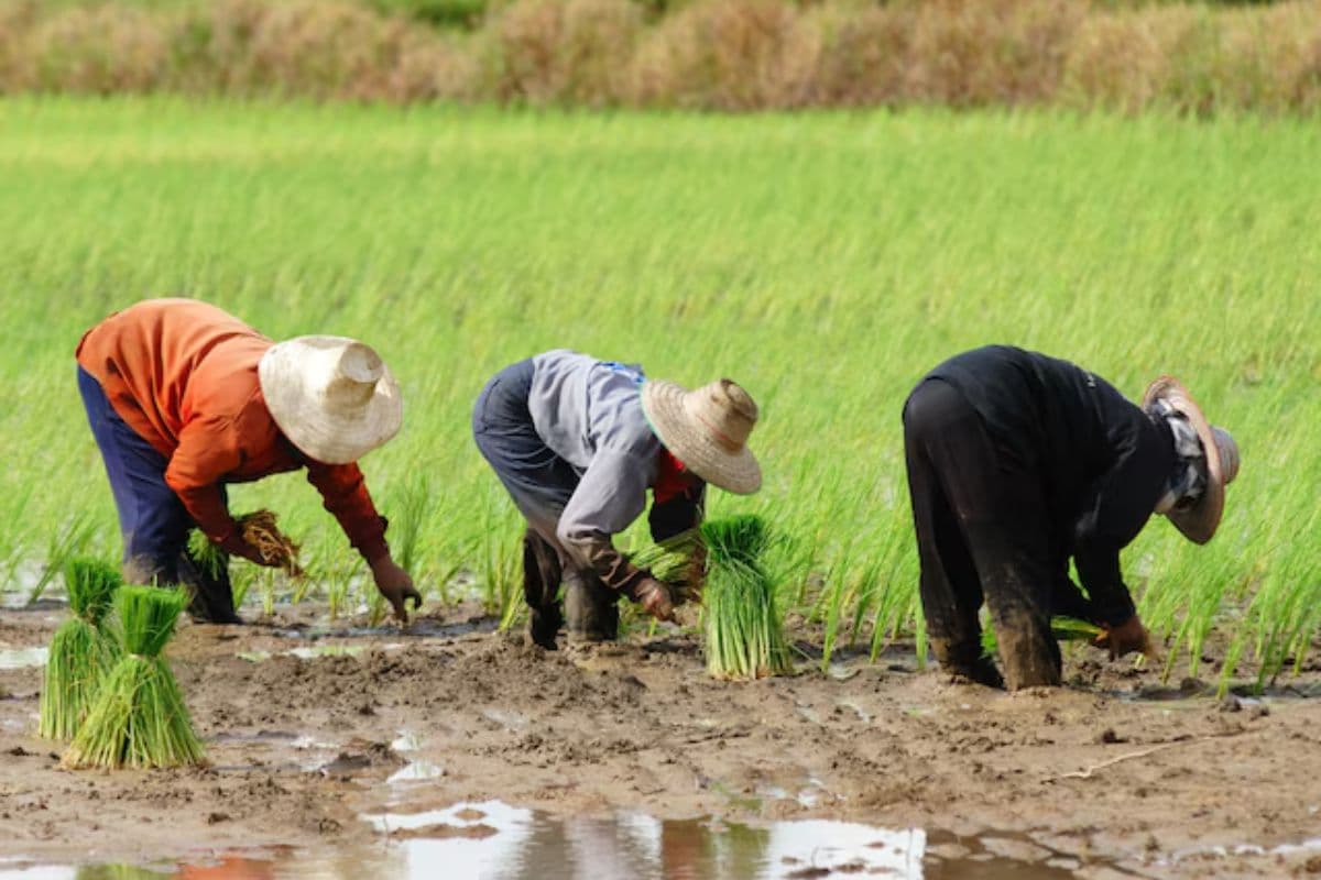 सांकेतिक तस्वीर