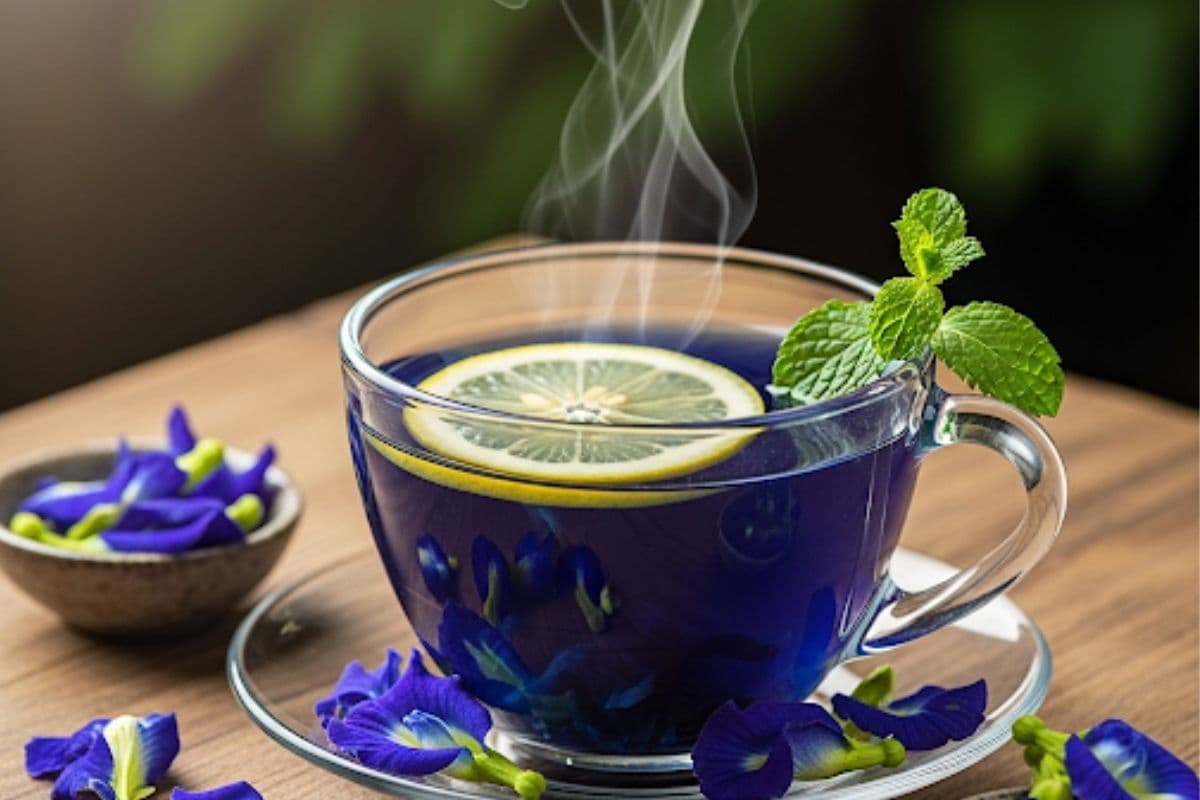 Blue Tea Recipe Blue Tea Recipe