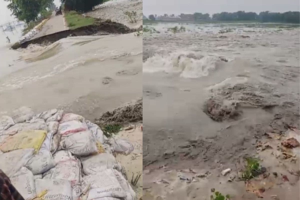 Bihar Flood: क्या सच में टूट चुका है नवगछिया का जमींदारी बांध? वायरल वीडियो देखिए और हकीकत जानिए