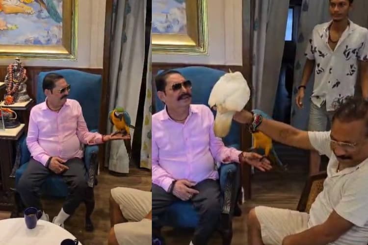 Video: 'इ बोलता है ज्यादे...' अनंत सिंह ने जब हाथ पर रखा तोता, मंत्री अशोक चौधरी के घर पहुंचे थे पूर्व विधायक