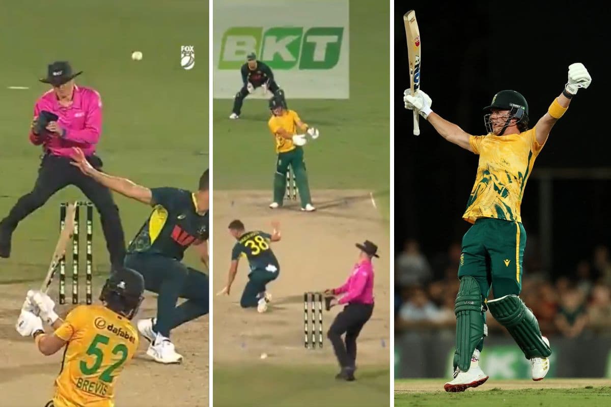 बुलेट की रफ्तार से ब्रेविस ने जड़ा शॉट, बाल-बाल बचे हेजलवुड और अंपायर, थोड़ी सी चूक होती तो...