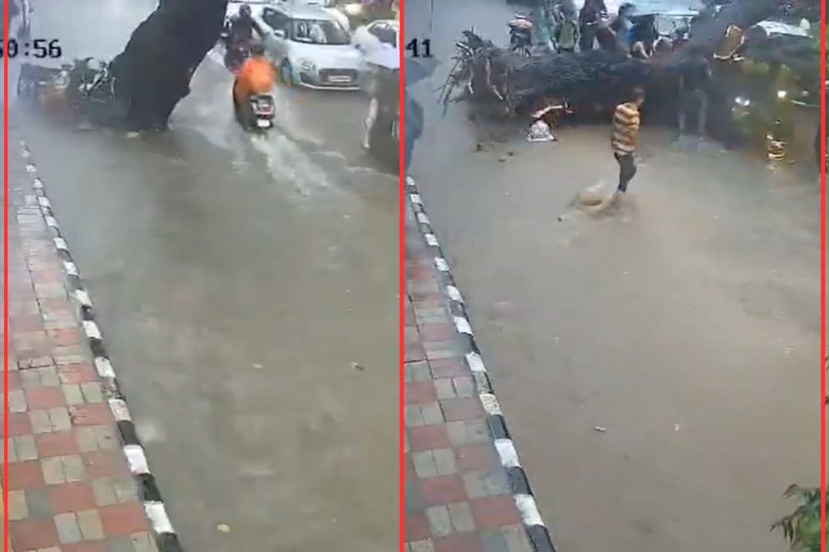 Delhi Heavy Rain tree fell