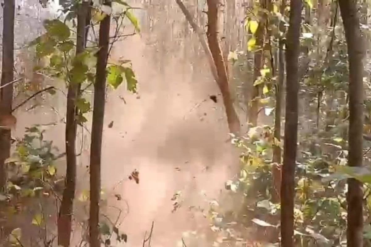 झारखंड के सारंडा में आईईडी ब्लास्ट की अब तक ग्रामीणों ने चुकायी है बड़ी कीमत, हाथियों की भी गयी है जान