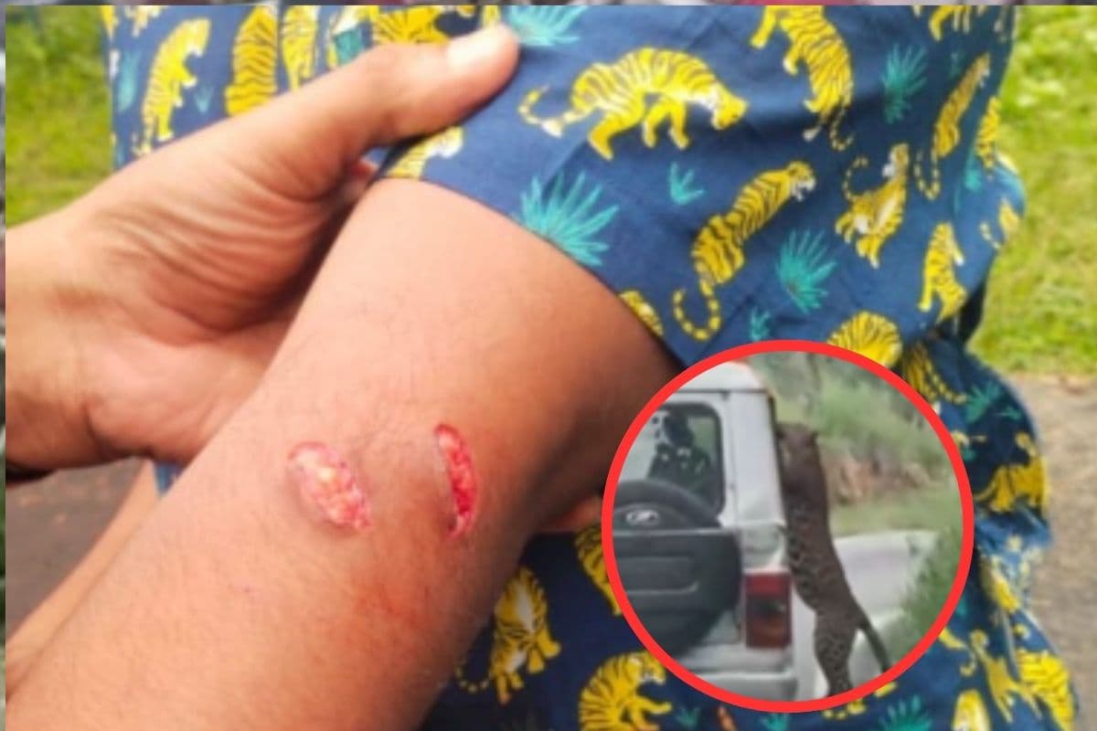 Viral Video : तेंदुआ को देखने के लिए जैसे ही बच्चे ने खोली खिड़की फिर…, डरा देगा ये वीडियो