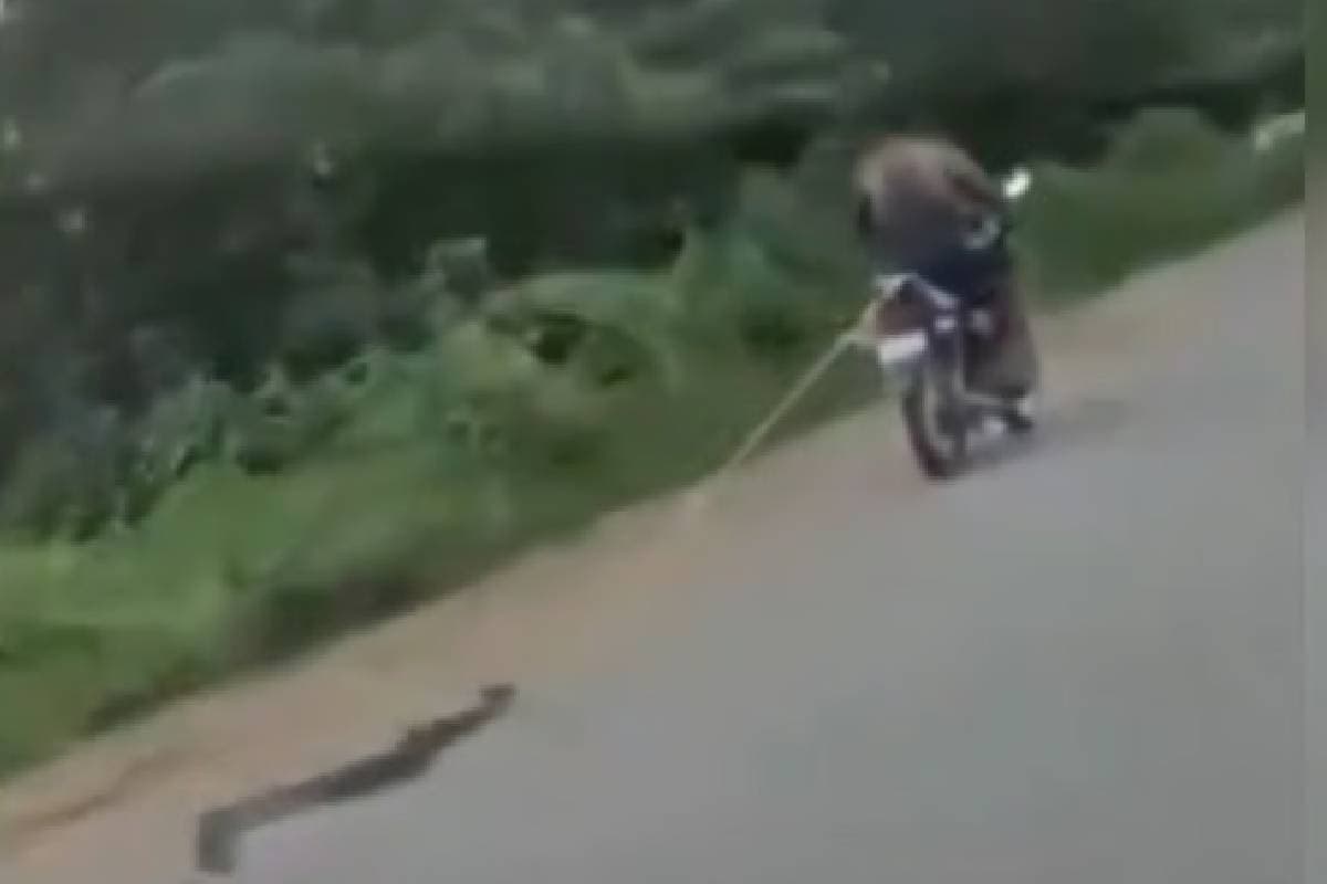 Viral Video : अजगर को रस्सी से बांधा और दौड़ा दी बाइक, वीडियो देखकर आएगा गुस्सा