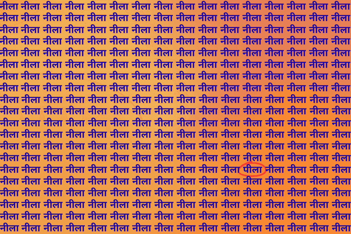 Optical Illusion Photo Answer Peela