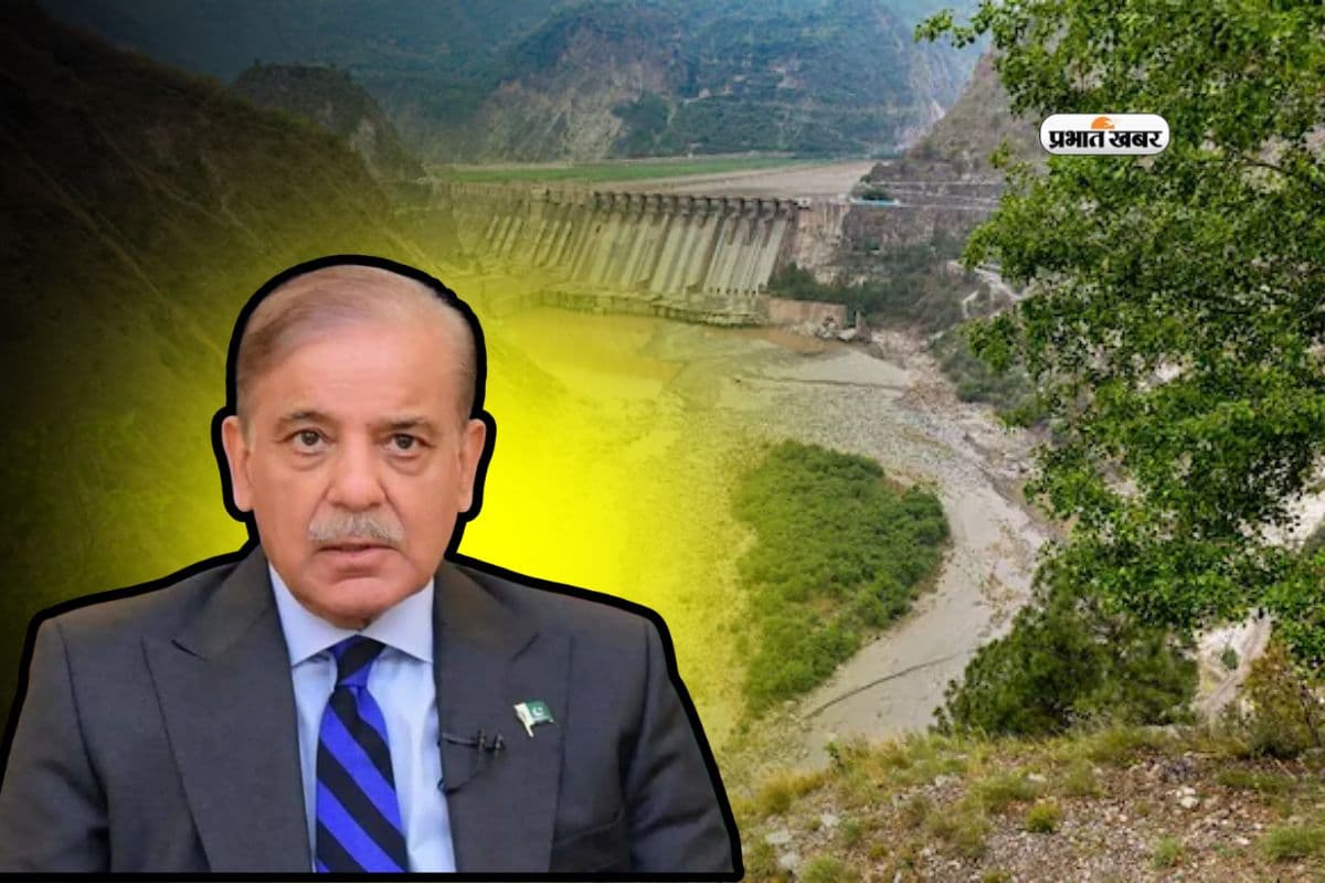 ‘भारत पानी की एक बूंद भी नहीं छीन पाएगा...’ मुनीर-भुट्टो के बाद PAK पीएम शहबाज की गिदड़भभकी, देखें वीडियो