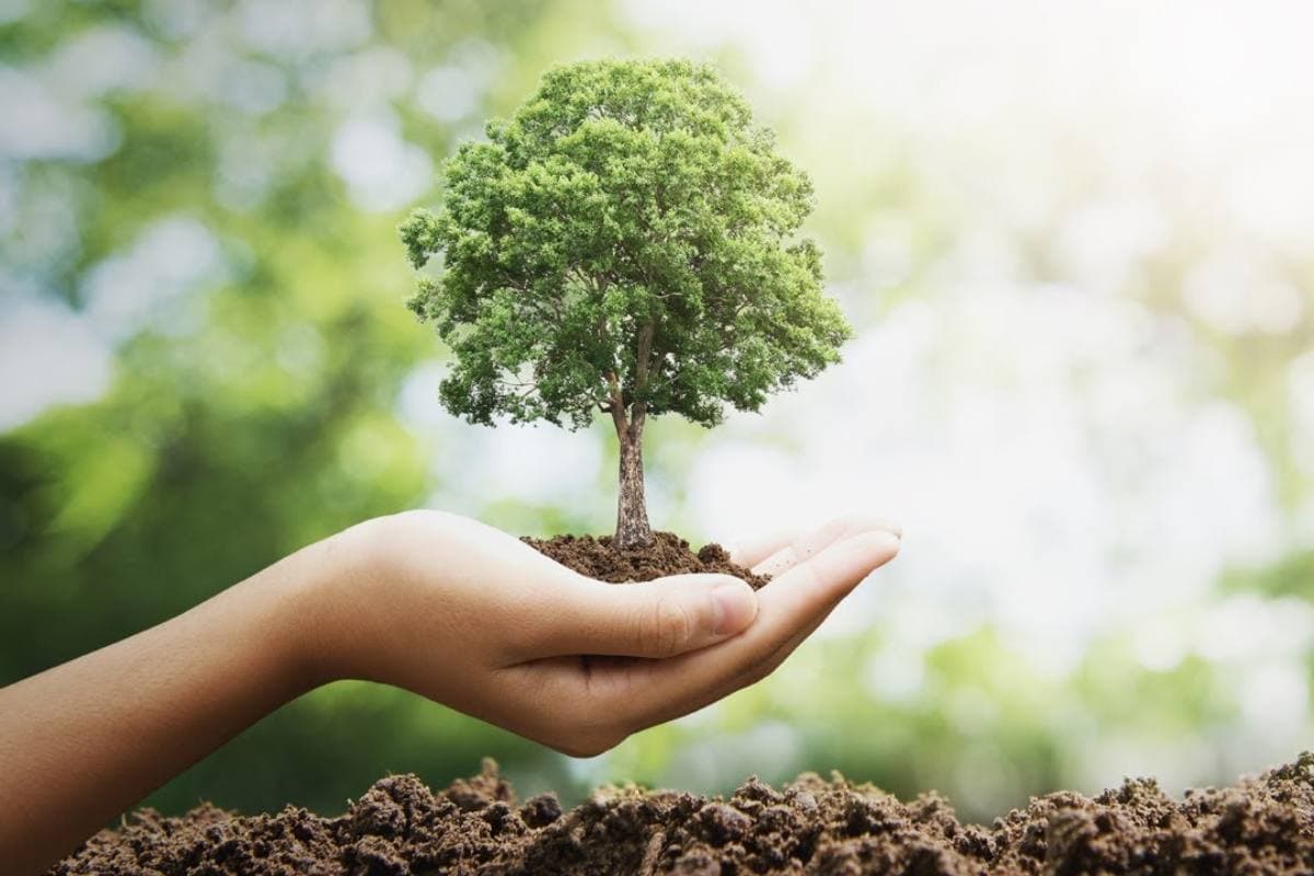 पेड़ लगाओ, डिग्री पाओ! शिक्षा और पर्यावरण को जोड़ने वाली अनोखी पहल