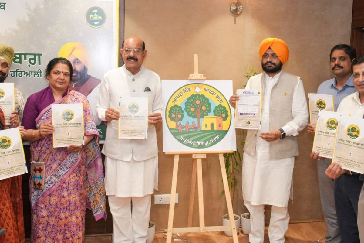 Punjab News: बागवानी को बढ़ावा दे रही भगवंत मान सरकार, पहले चरण में 9 जिलों की 65 एकड़ जमीन पर लगेंगे फलों के बाग