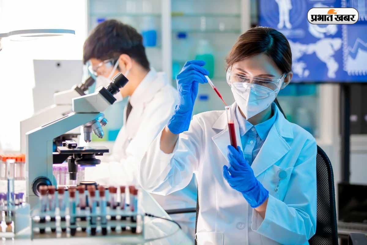 RRB Result 2025 OUT: रेलवे भर्ती बोर्ड ने जारी किया Paramedical भर्ती परीक्षा का रिजल्ट, जानें आगे की प्रक्रिया