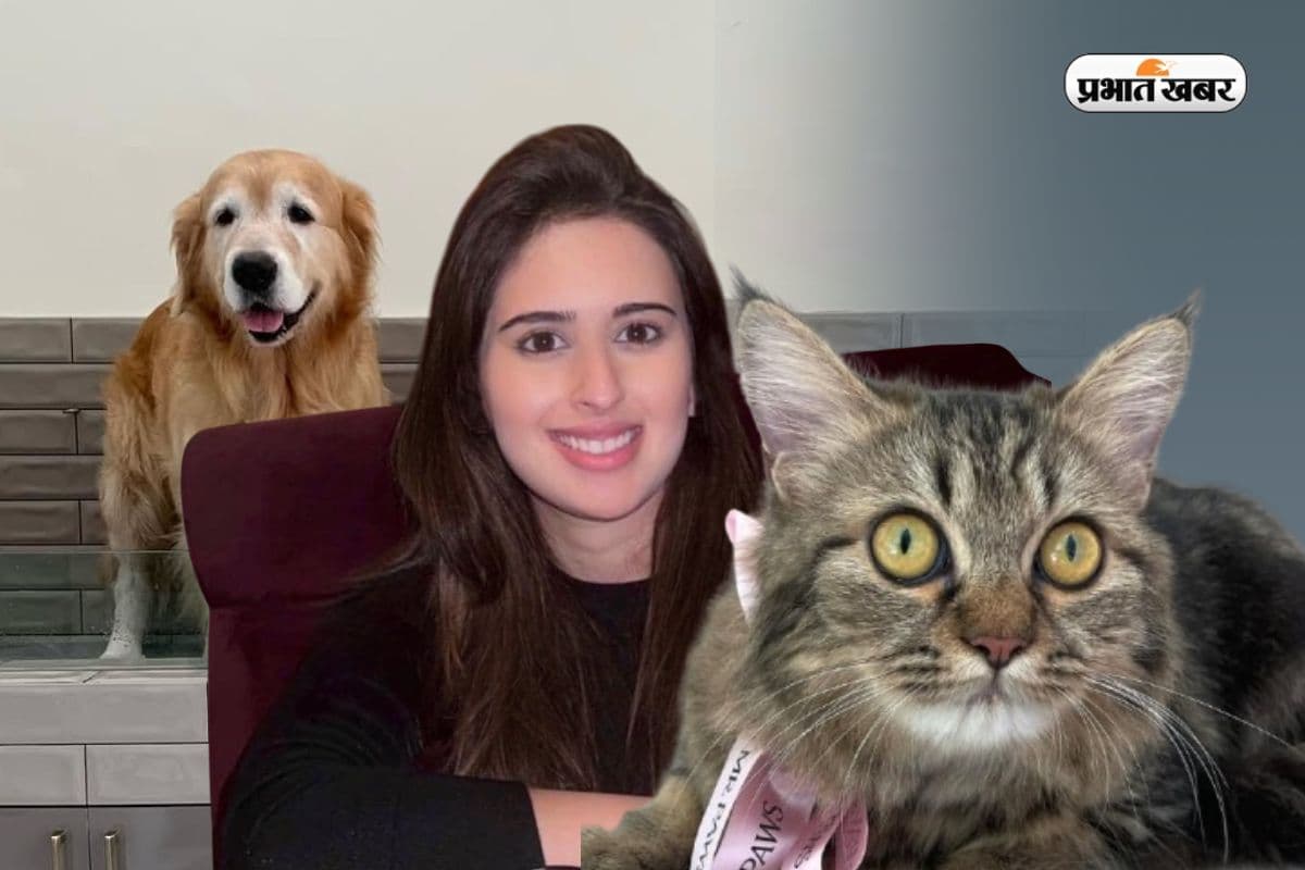 कुत्ता नहलाओ, बिल्ली सजाओ और करोड़ों कमाओ, सचिन की बहु का बेजोड़ बिजनेस, रखती हैं ये डिग्री