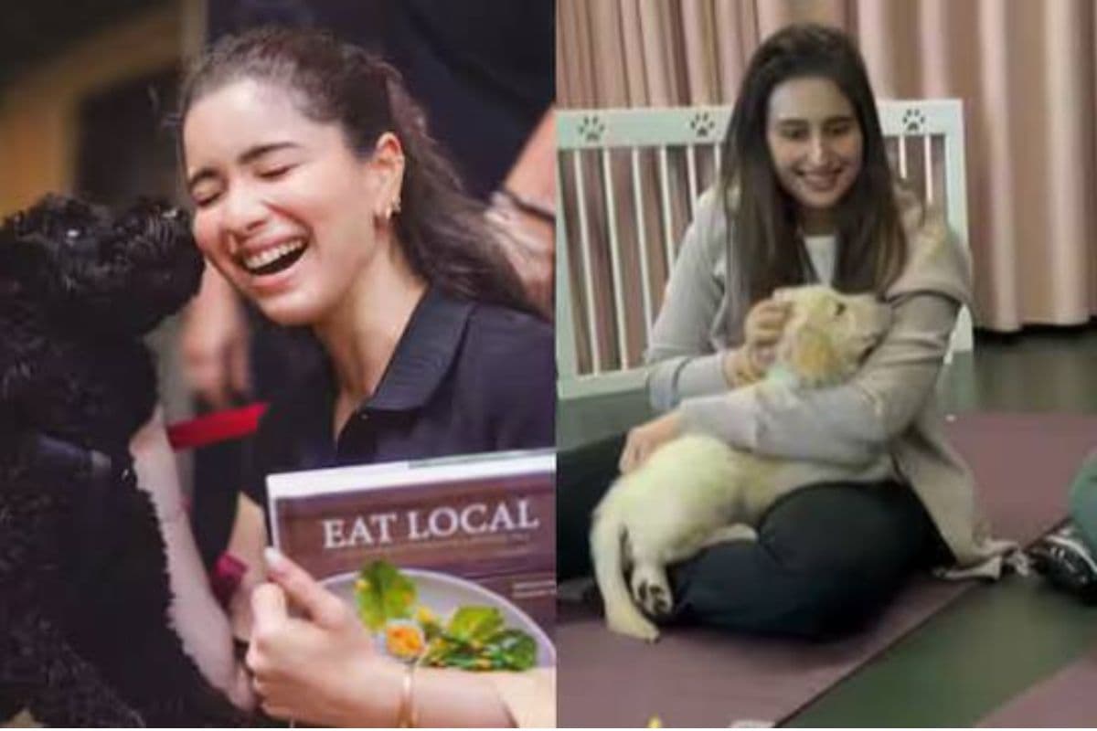 Arjun Tendulkar Fiance Net Worth: सचिन की होने वाली बहु सानिया चंडोक की कमाई जान हैरान रह जाएंगे आप