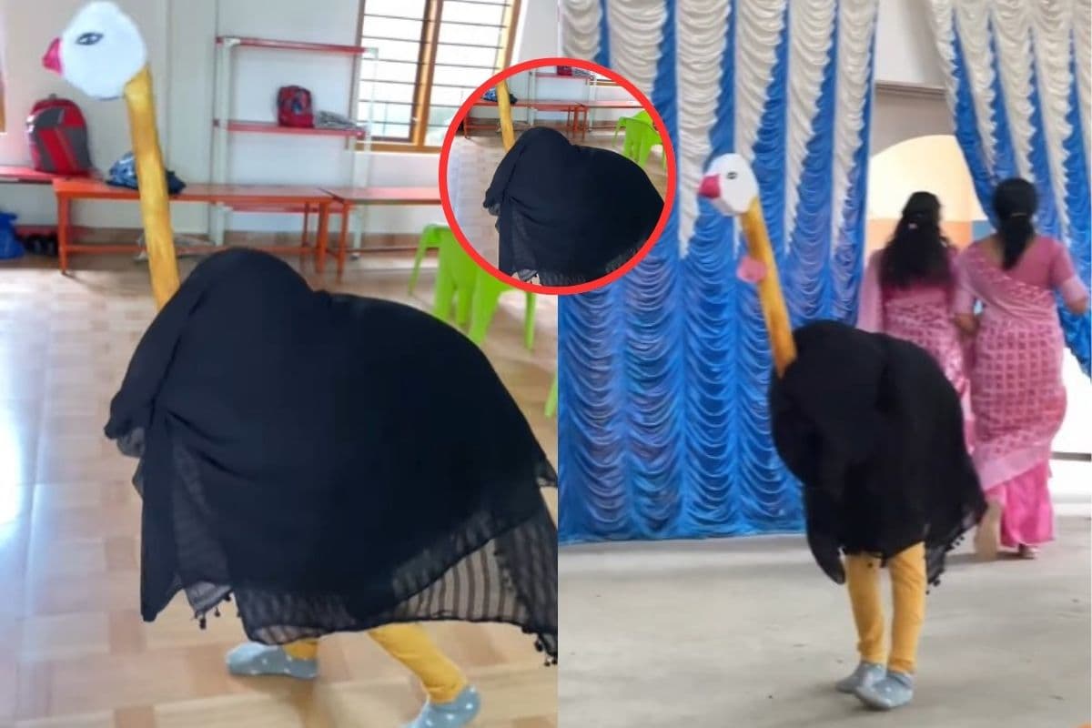 Viral Video: खेल-खेल में बच्चा बना शुतुरमुर्ग, ट्विस्ट से इंटरनेट हुआ लोटपोट, देखें वीडियो