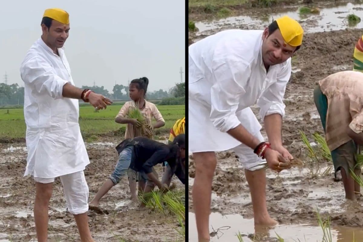 Video: खेत में धान रोपते दिखे तेज प्रताप यादव, सोशल मीडिया पर वीडियो हो रहा खूब वायरल