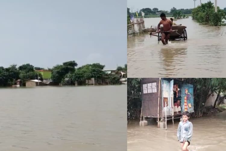 Video: बेगूसराय के बलिया में बाढ़ का भयावह मंजर कैमरे में कैद, नदी की धार देख सहम जायेंगे!