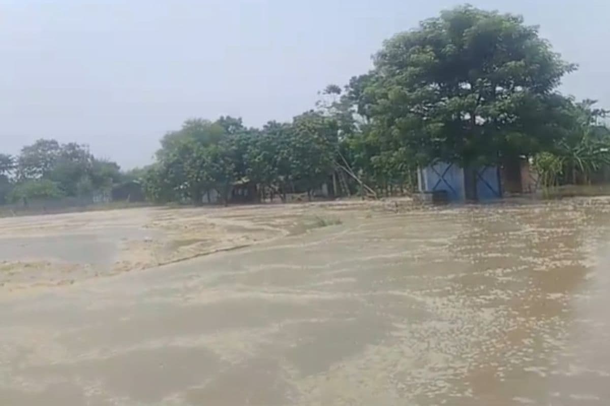 Bihar Flood Horrifying scene from Ganga-Kosi more than 500 houses submerged Bihar Flood Horrifying scene from Ganga-Kosi more than 500 houses submerged