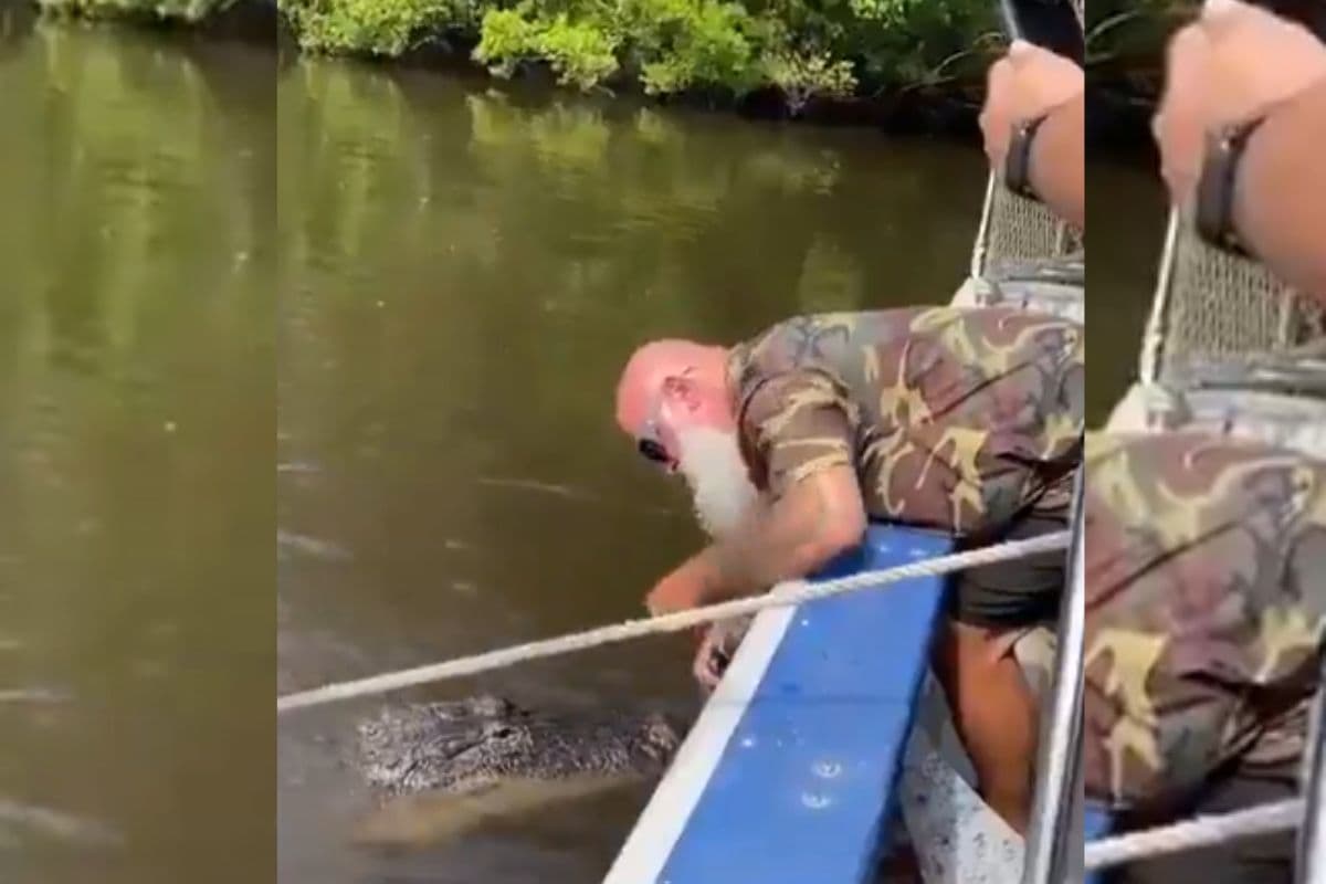 Viral Video: बाल-बाल बची जान, पानी में खींच ही लेता घड़ियाल, वायरल हो रहा वीडियो