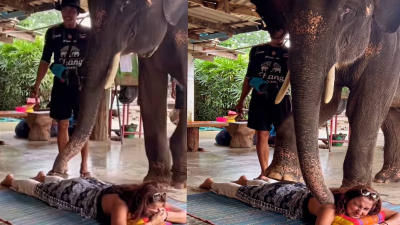Viral Video: भारी-भरकम हाथी ने अपने पैरों से दी महिला को बैक मसाज, थेरेपिस्ट गजराज पर लोग लुटा रहे प्यार