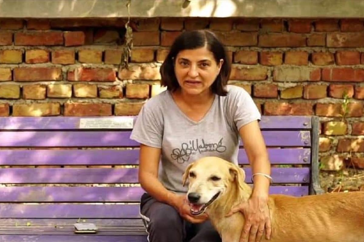 Viral Video: क्या साबुन से धोने पर मर जाता है रैबीज का वायरस? सच जानने के लिए देखें वीडियो