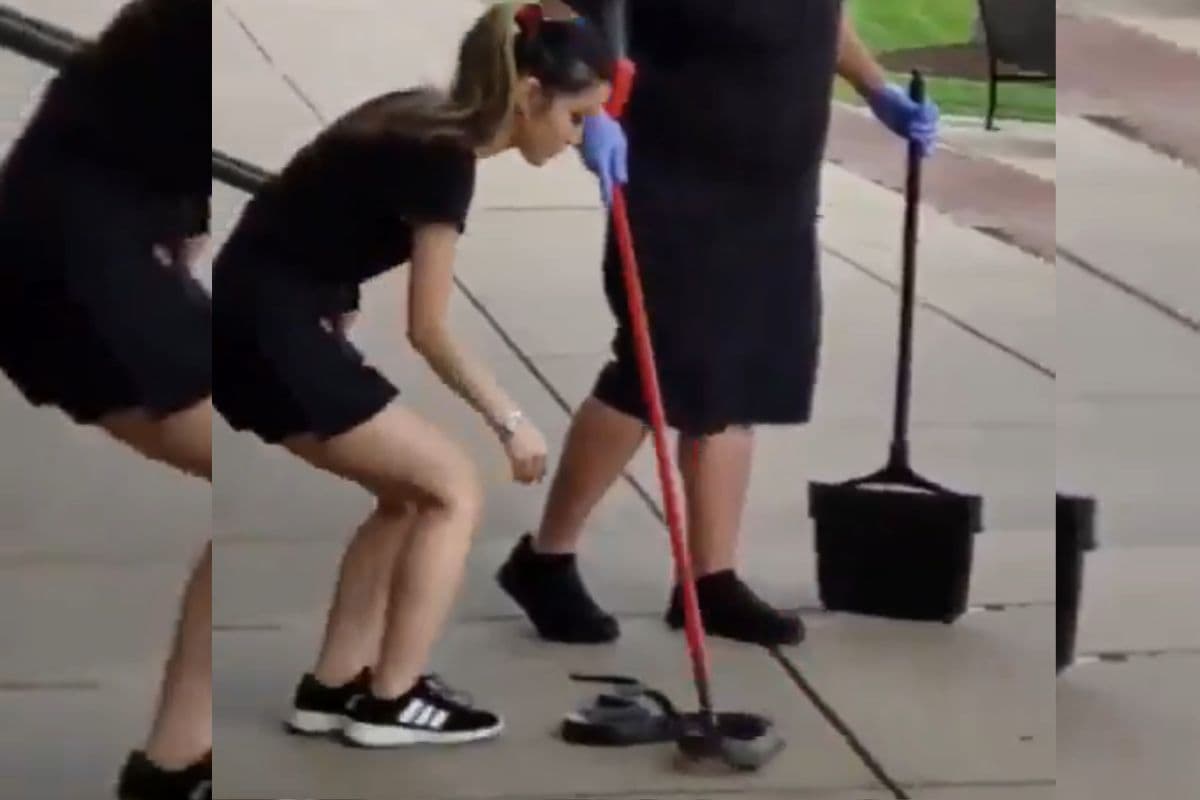 Viral Video: देखता रह गया शख्स, महिला ने सांप को उठाकर कर दिया दूर, वायरल हो रहा वीडियो