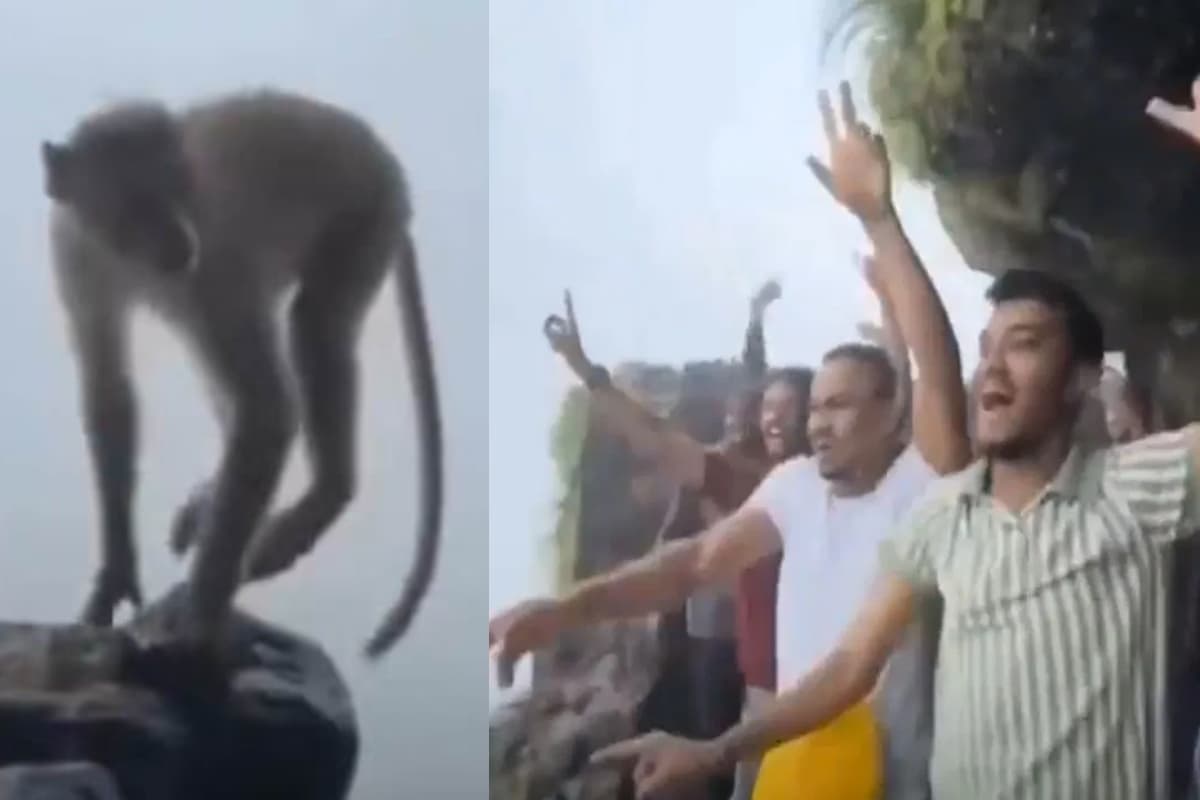 Viral Video: बंदर और लड़कों की डांस पार्टी ने इंटरनेट पर मचाया धमाल, देखें मजेदार नजारा