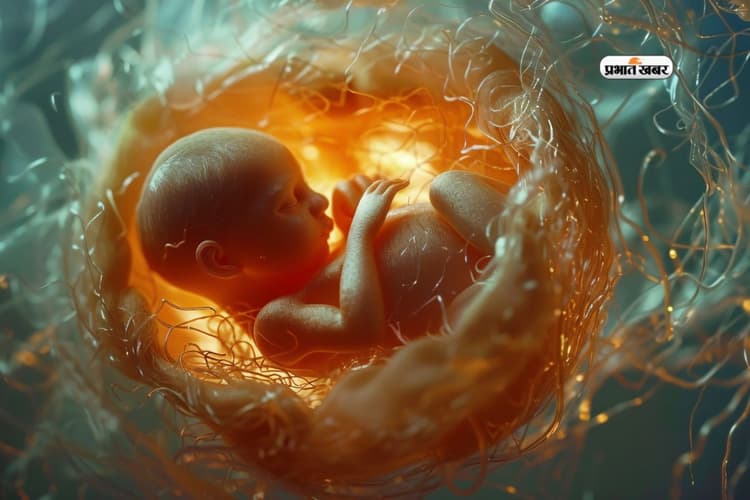 World Oldest Child Born: 30 साल से फ्रीज हुए भ्रूण से जन्मा बच्चा, तोड़ा दुनिया का रिकॉर्ड