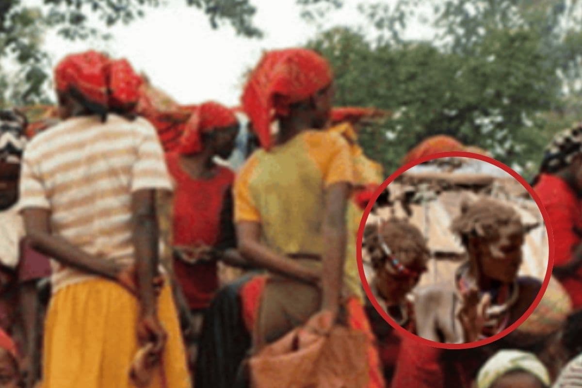 World Tribal Day : ‘बाबी’ की हर बात मानते हैं लोग, खास है इस जनजाति की बातें
