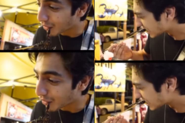 Saiyaara: अहान पांडे का शॉकिंग वीडियो वायरल, बिच्छू खाते दिखे एक्टर